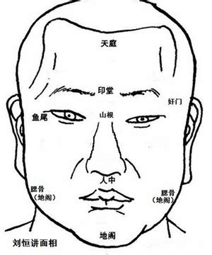 头型面相|高端进阶头部面相识人 上,面相头型